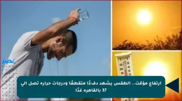 ارتفاع مؤقت.. الطقس يشهد دفءًا متقطعًا ودرجات حرارة تصل إلى 37 بالقاهرة غدًا